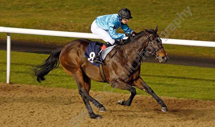 Arabic-Welcome-0004 
 ARABIC WELCOME (Christian Howarth) wins The Heed Your Hunch At Betway Handicap Div1
Wolverhampton 18 Jan 2021 - Pic Steven Cargill / Racingfotos.com