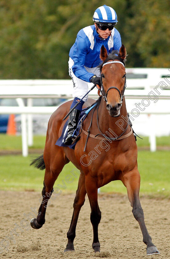 Almahha-0001 
 ALMAHHA (Jim Crowley)
Lingfield 3 Oct 2019 - Pic Steven Cargill / Racingfotos.com