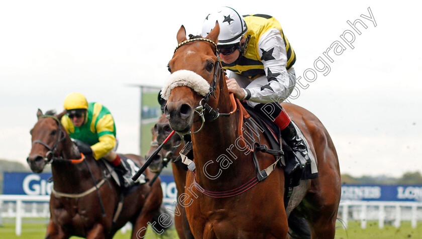 Dakota-Gold-0006 
 DAKOTA GOLD (Connor Beasley) wins The UK Hi-Fi Show Live Rous Stakes
Ascot 5 Oct 2019 - Pic Steven Cargill / Racingfotos.com