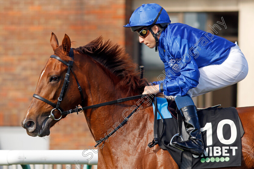 Sayyida-0001 
 SAYYIDA (William Buick)
Newmarket 24 Sep 2021 - Pic Steven Cargill / Racingfotos.com