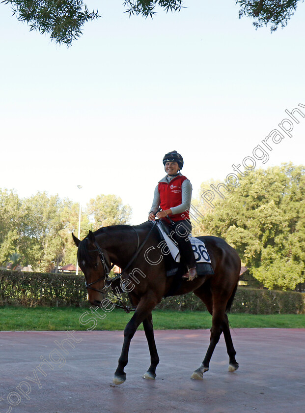 Jungle-Drums-0001 
 JUNGLE DRUMS training at the Dubai Racing Carnival
Meydan 22 Jan 2025 - Pic Steven Cargill / Racingfotos.com