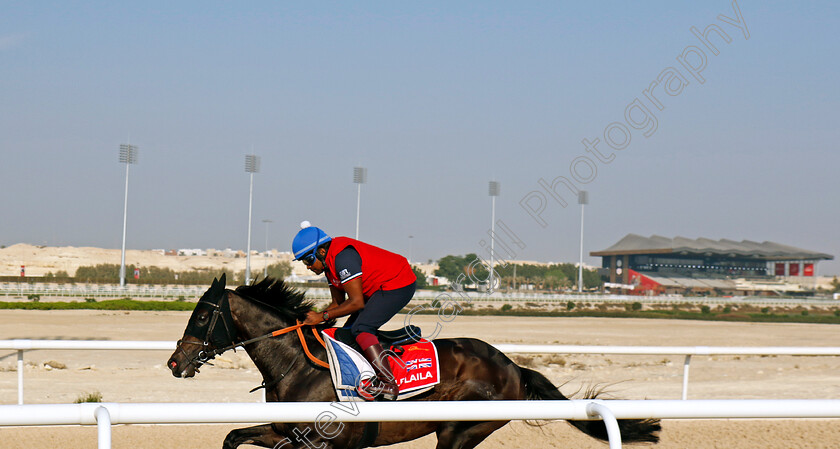 Alflaila-0001 
 ALFLAILA training for the Bahrain International Trophy
Kingdom of Bahrain 14 Nov 2024 - Pic Steven Cargill / Racingfotos.com