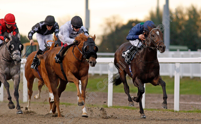 Capla-Knight-0004 
 CAPLA KNIGHT (Tom Marquand) beats ACCRINGTON STANLEY (left) in The tote Placepot Your First Bet Claiming Stakes
Chelmsford 8 Oct 2020 - Pic Steven Cargill / Racingfotos.com