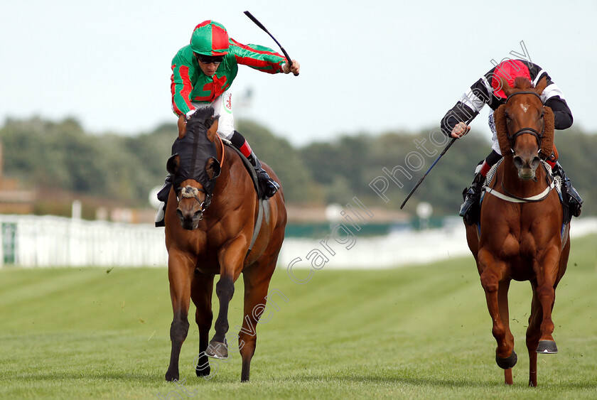 Awesome-0004 
 AWESOME (right, Adam Kirby) beats JASHMA (left) in The New Amsterdam Vodka Handicap
Newbury 17 Aug 2018 - Pic Steven Cargill / Racingfotos.com