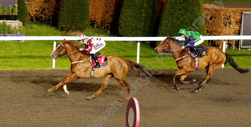 Tennessee-Gold-0002 
 TENNESSEE GOLD (Daniel Muscutt) wins The Unibet Handicap
Kempton 11 Dec 2024 - Pic Steven Cargill / Racingfotos.com