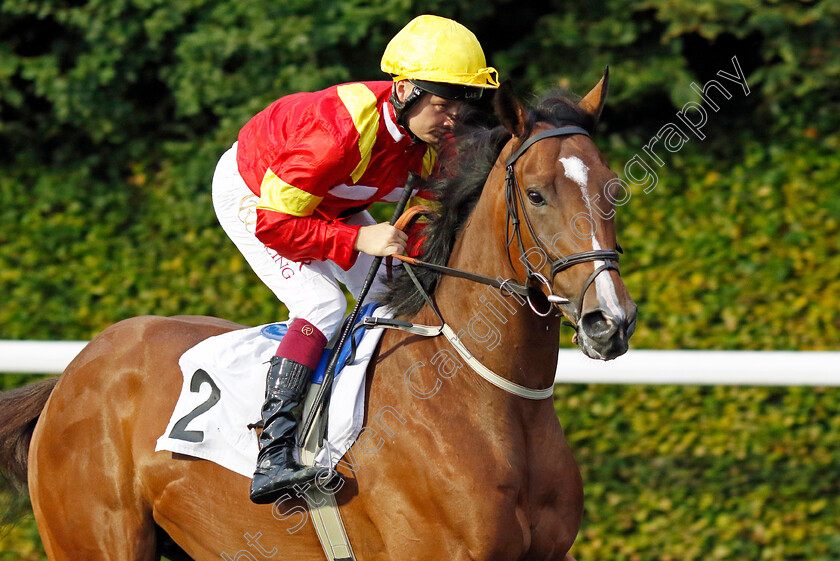 Aneedah-Hero-0002 
 ANEEDAH HERO (Cieren Fallon)
Kempton 6 Sep 2024 - Pic Steven Cargill / Racingfotos.com