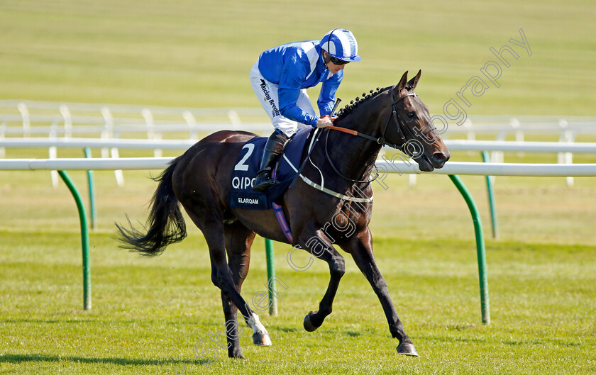 Elarqam-0003 
 ELARQAM (Jim Crowley) Newmarket 5 May 2018 - Pic Steven Cargill / Racingfotos.com