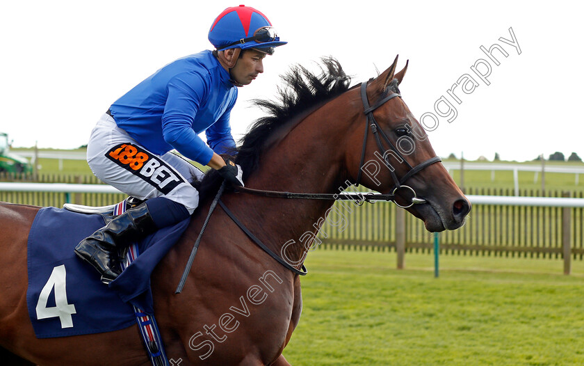 Maksab-0001 
 MAKSAB (Silvestre De Sousa) Newmarket 28 Sep 2017 - Pic Steven Cargill / Racingfotos.com