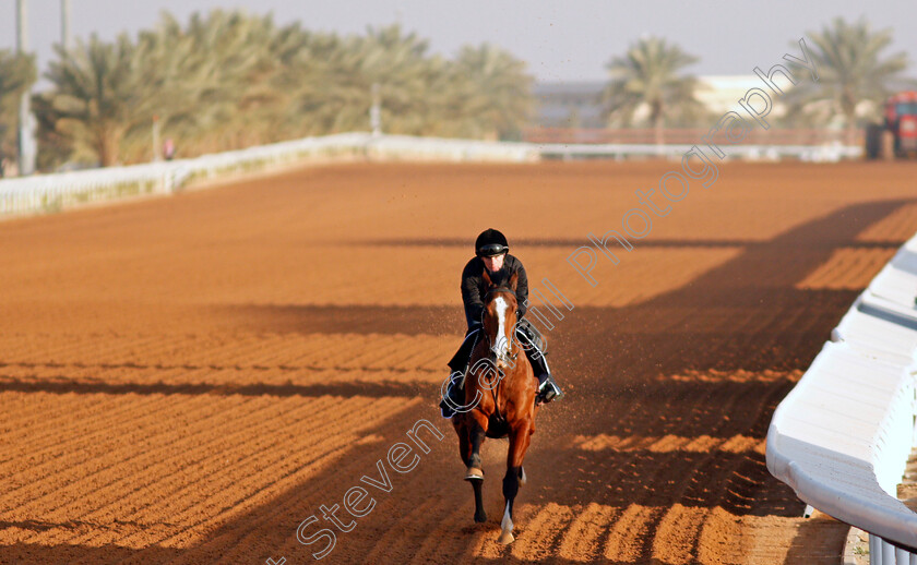 Rohaan-0003 
 ROHAAN training for The Turf Sprint
King Abdulaziz Racetrack, Riyadh, Saudi Arabia 23 Feb 2022 - Pic Steven Cargill / Racingfotos.com