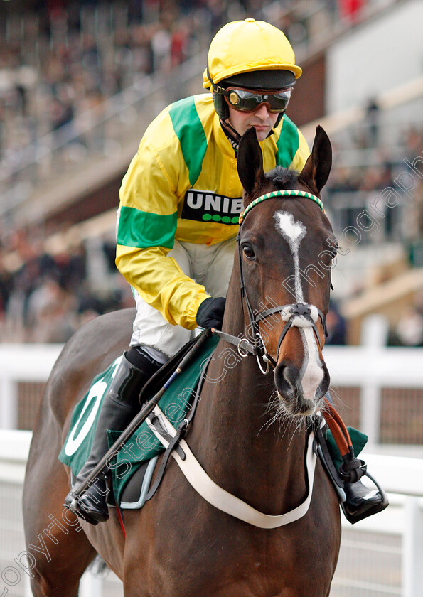 Pipesmoker-0001 
 PIPESMOKER (Nico de Boinville)
Cheltenham 13 Dec 2019 - Pic Steven Cargill / Racingfotos.com