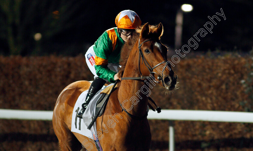 Lady-Sansa-0001 
 LADY SANSA (Hollie Doyle)
Kempton 29 Jan 2020 - Pic Steven Cargill / Racingfotos.com