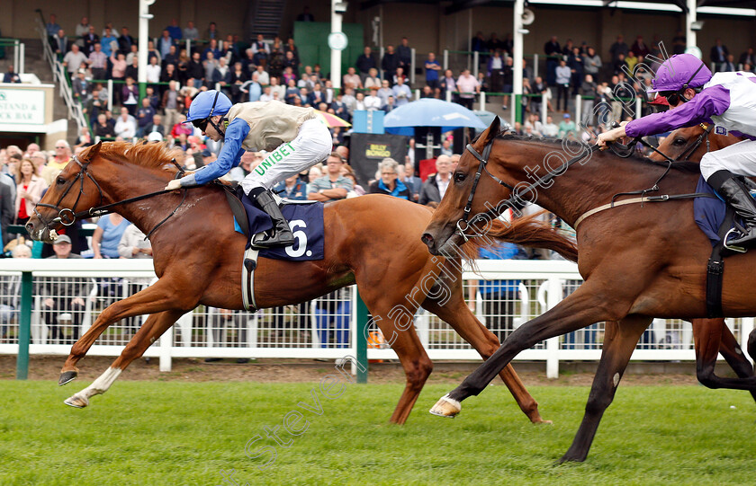 Felix-0005 
 FELIX (Jamie Spencer) beats GREEK KODIAC (right) in The British Stallion Studs EBF Novice Stakes
Yarmouth 20 Sep 2018 - Pic Steven Cargill / Racingfotos.com