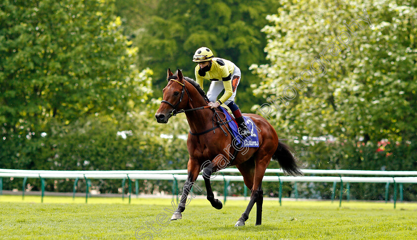 Postileo-0001 
 POSTILEO (David Egan)
Haydock 22 May 2021 - Pic Steven Cargill / Racingfotos.com