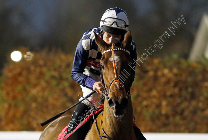 Baikal-0001 
 BAIKAL (Luke Morris)
Kempton 11 Dec 2024 - Pic Steven Cargill / Racingfotos.com