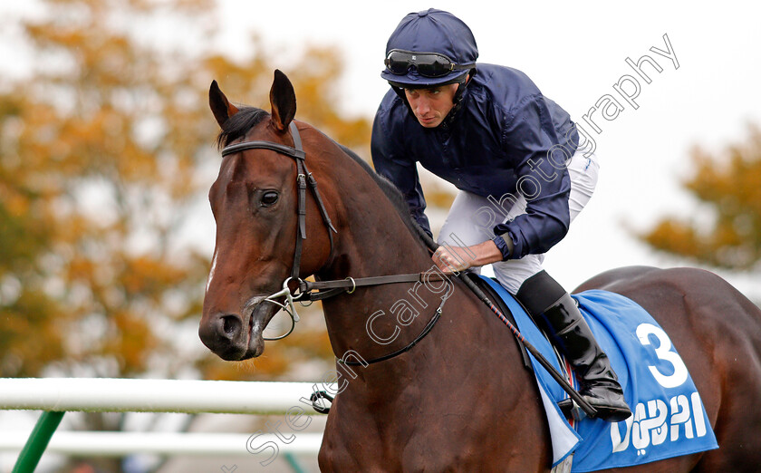 Mythical-0003 
 MYTHICAL (Ryan Moore)
Newmarket 12 Oct 2019 - Pic Steven Cargill / Racingfotos.com