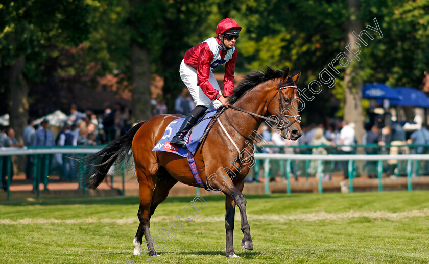 Jumby-0009 
 JUMBY (Charles Bishop) winner of The Sky Bet John Of Gaunt Stakes
Haydock 10 Jun 2023 - Pic Steven Cargill / Racingfotos.com