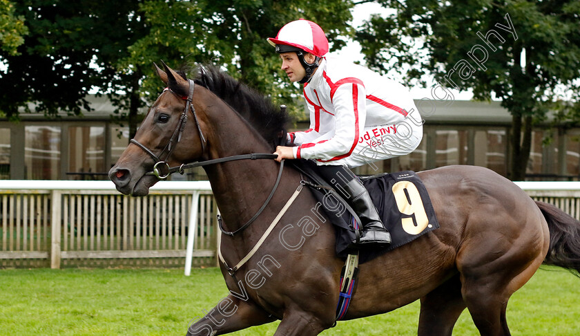 Boy-Browning-0001 
 BOY BROWNING (Charles Bishop)
Newmarket 5 Aug 2023 - Pic Steven Cargill / Racingfotos.com