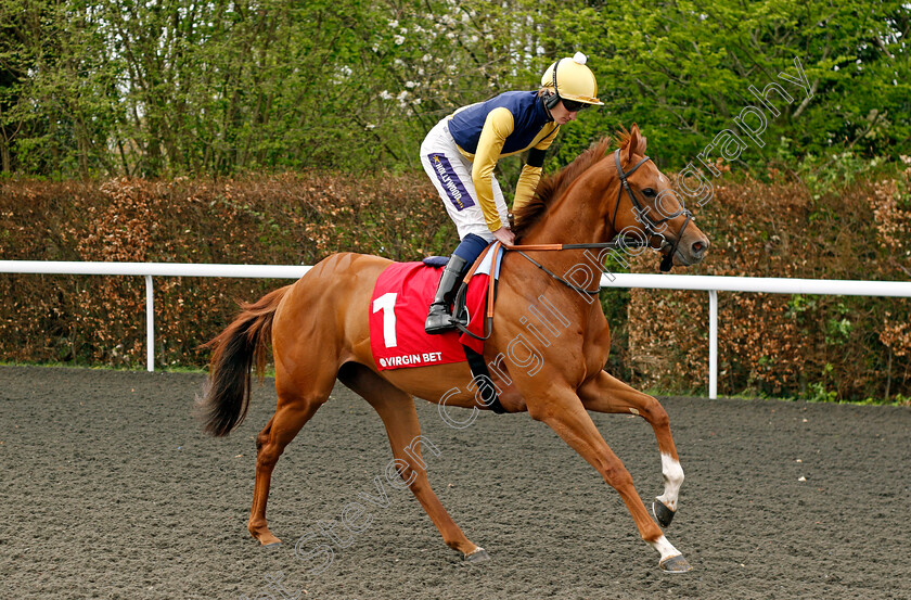 Many-Tears-0001 
 MANY TEARS (Daniel Muscutt)
Kempton 6 Apr 2024 - Pic Steven Cargill / Racingfotos.com