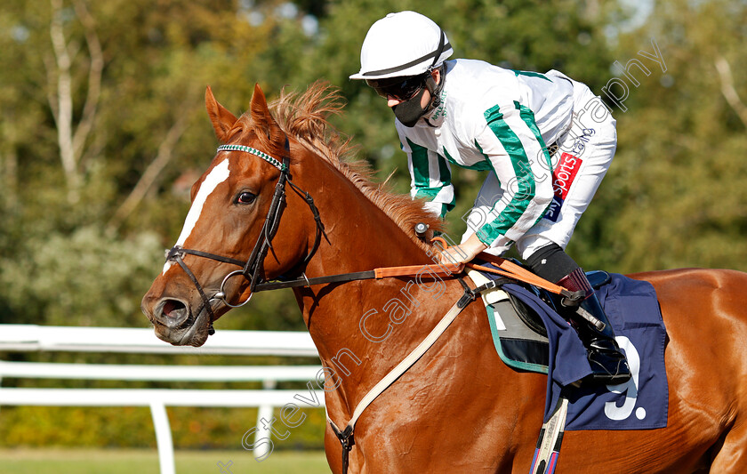 Gallardise-0002 
 GALLARDISE (Hollie Doyle) winner of The Betway Novice Median Auction Stakes
Lingfield 4 Aug 2020 - Pic Steven Cargill / Racingfotos.com