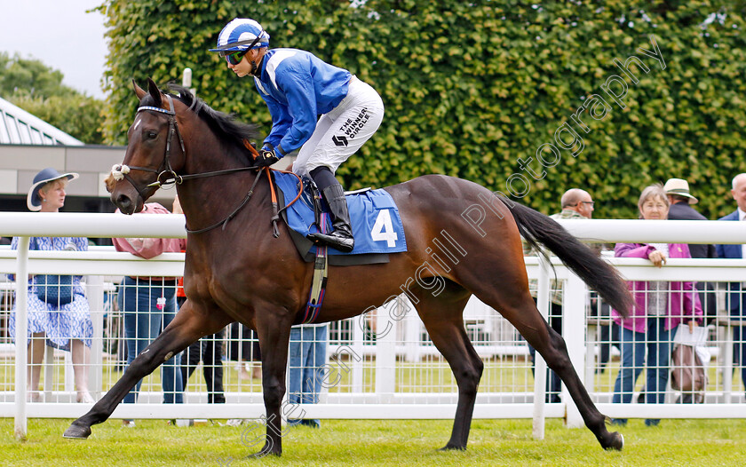 El-Madar-0001 
 EL MADAR (Saffie Osborne)
Salisbury 16 Jun 2024 - Pic Steven Cargill / Racingfotos.com