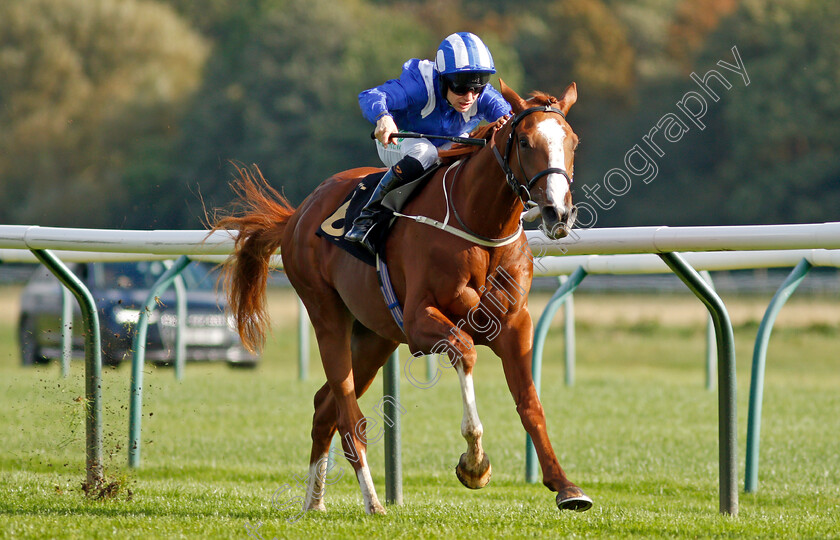 Qitaal-0005 
 QITAAL (Jason Hart) wins the British Stallion Studs EBF Maiden Stakes Div1
Nottingham 13 Oct 2021 - Pic Steven Cargill / Racingfotos.com