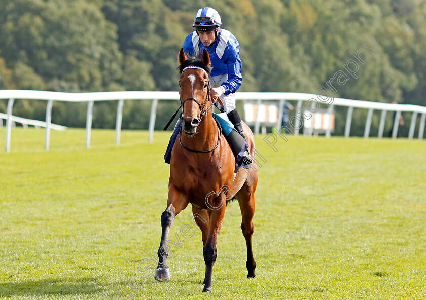 Ehtiraas-0001 
 EHTIRAAS (Dane O'Neill) Chepstow 6 Sep 2017 - Pic Steven Cargill / Racingfotos.com