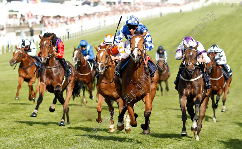 Soto-Sizzler-0003 
 SOTO SIZZLER (Jimmy Quinn) wins The Investec Out Of The Ordinary Handicap
Epsom 1 Jun 2019 - Pic Steven Cargill / Racingfotos.com