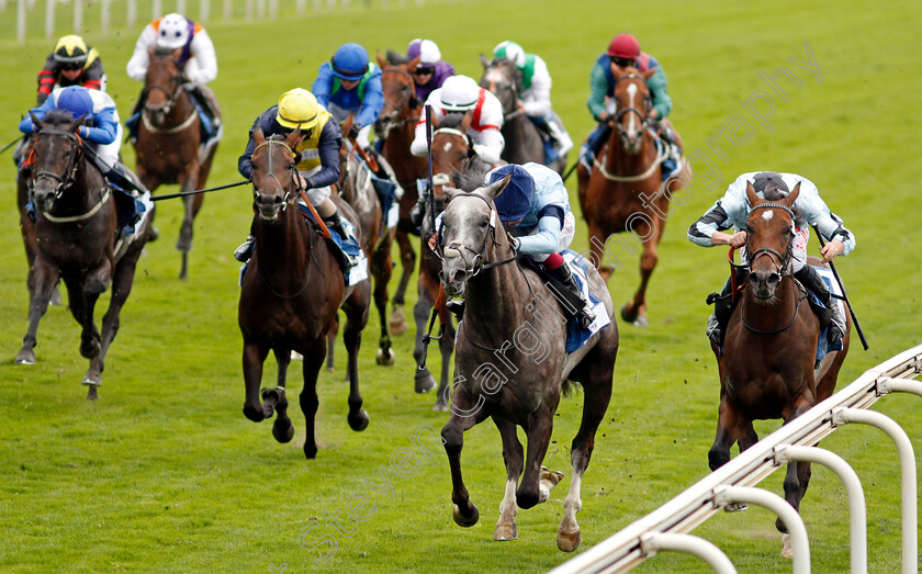 Harrow-0003 
 HARROW (Oisin Murphy) beats MAGLEV (right) in The OR8wellness EBF Stallions Nursery
York 19 Aug 2021 - Pic Steven Cargill / Racingfotos.com