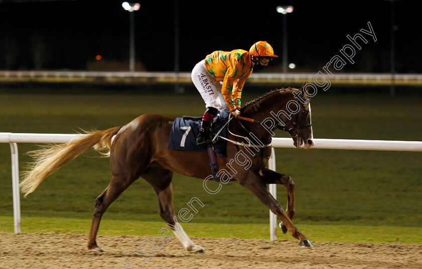 Love-Of-Zoffany-0001 
 LOVE OF ZOFFANY (Ben Curtis)
Wolverhampton 11 Jan 2021 - Pic Steven Cargill / Racingfotos.com