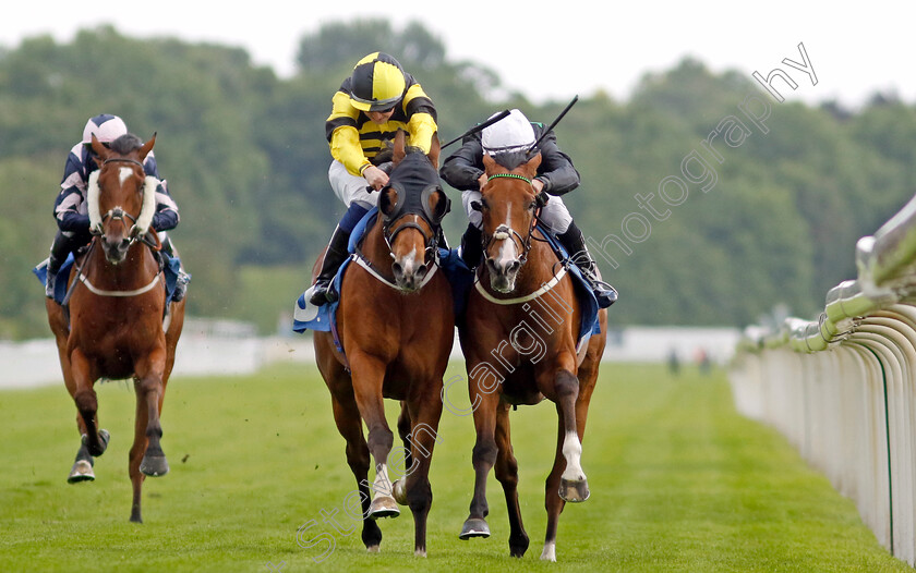 Haliphon-0004 
 HALIPHON (right, Royston Ffrench) beats MONSIEUR LAMBRAYS (left, Oisin Orr) in The Andy Thornton Hospitality Furniture Handicap
York 10 Jun 2022 - Pic Steven Cargill / Racingfotos.com