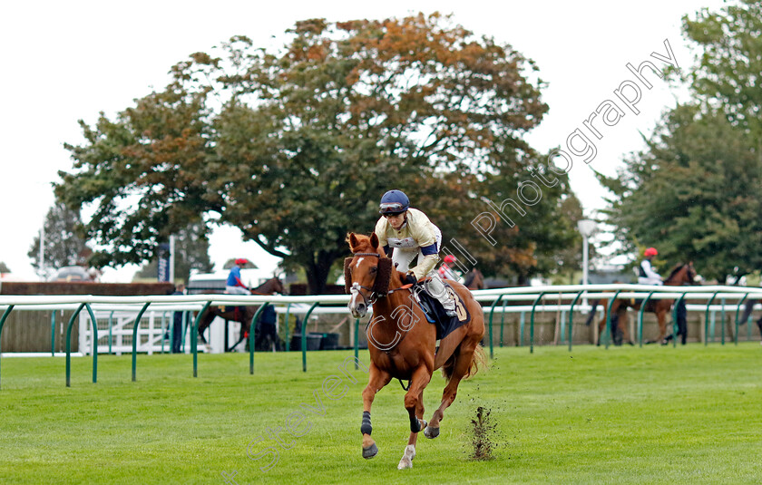 Beamish-0002 
 BEAMISH (Hollie Doyle)
Newmarket 26 Sep 2024 - pic Steven Cargill / Racingfotos.com