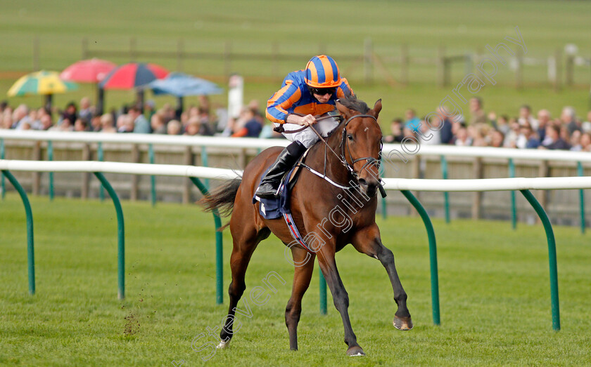 Bye-Bye-Baby-0004 
 BYE BYE BABY (Ryan Moore) wins The Blandford Bloodstock Maiden Fillies Stakes Newmarket 30 Sep 2017 - Pic Steven Cargill / Racingfotos.com