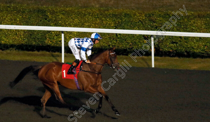 Machete-Beach-0001 
 MACHETE BEACH (Rossa Ryan)
Kempton 6 Sep 2024 - Pic Steven Cargill / Racingfotos.com