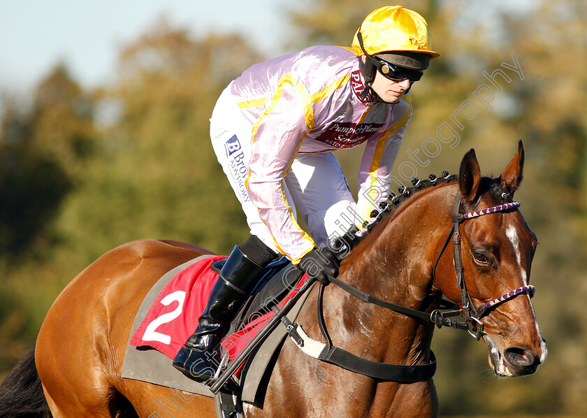 Higgs-0002 
 HIGGS (David Bass)
Kempton 21 Oct 2018 - Pic Steven Cargill / Racingfotos.com