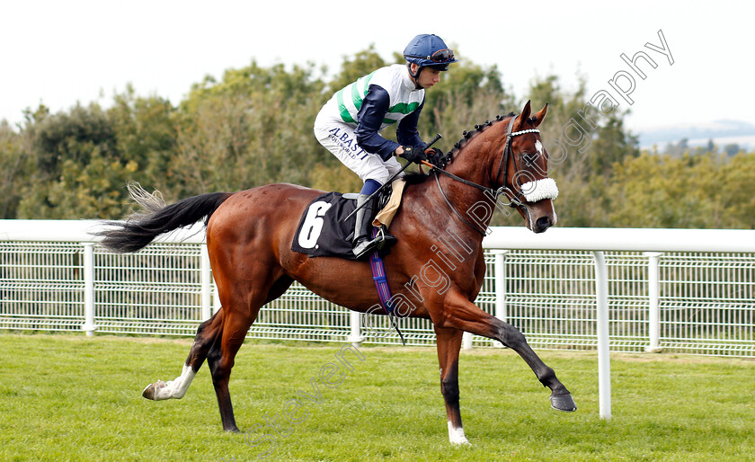 Le-Don-De-Vie-0002 
 LE DON DE VIE (Oisin Murphy)
Goodwood 4 Sep 2018 - Pic Steven Cargill / Racingfotos.com