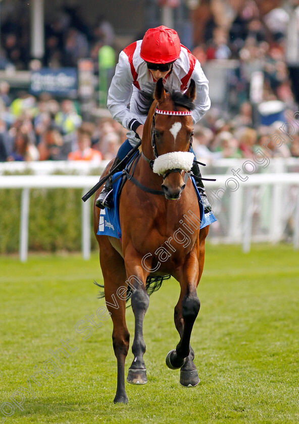 My-Little-Tip 
 MY LITTLE TIP (William Buick)
Chester 5 May 2022 - Pic Steven Cargill / Racingfotos.com