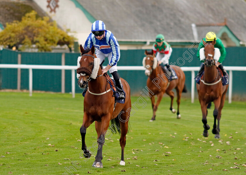 Myconian-0002 
 MYCONIAN (Adam Farragher)
Yarmouth 22 Oct 2024 - Pic Steven Cargill / Racingfotos.com