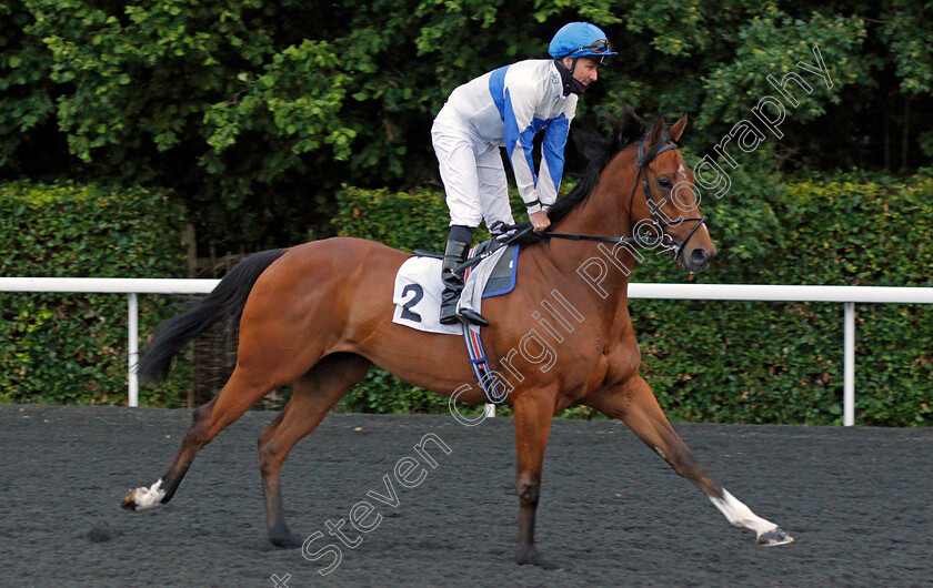 Protected-Guest-0001 
 PROTECTED GUEST (Tom Queally)
Kempton 2 Jun 2021 - Pic Steven Cargill / Racingfotos.com