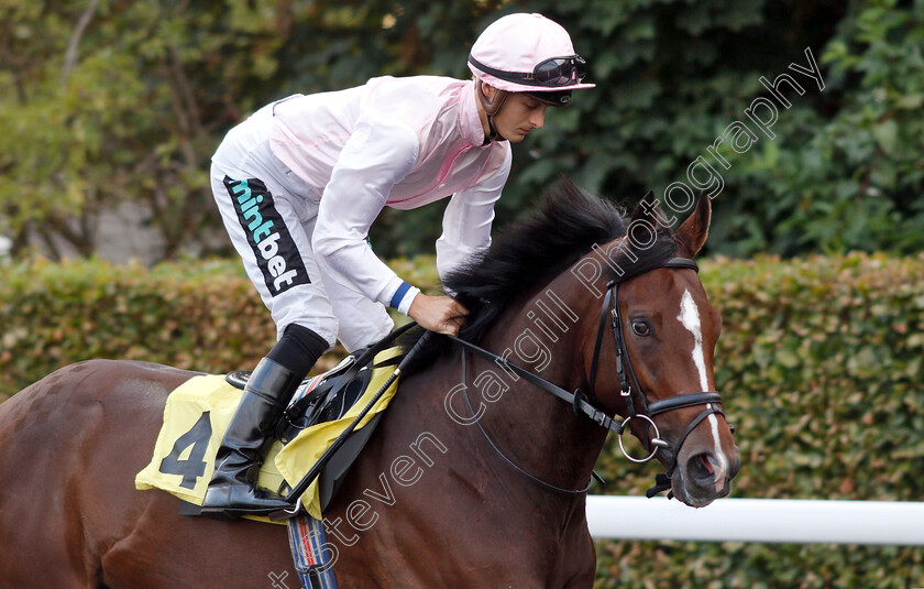 Croque-Monsieur-0001 
 CROQUE MONSIEUR (Harry Bentley)
Kempton 29 Aug 2018 - Pic Steven Cargill / Racingfotos.com