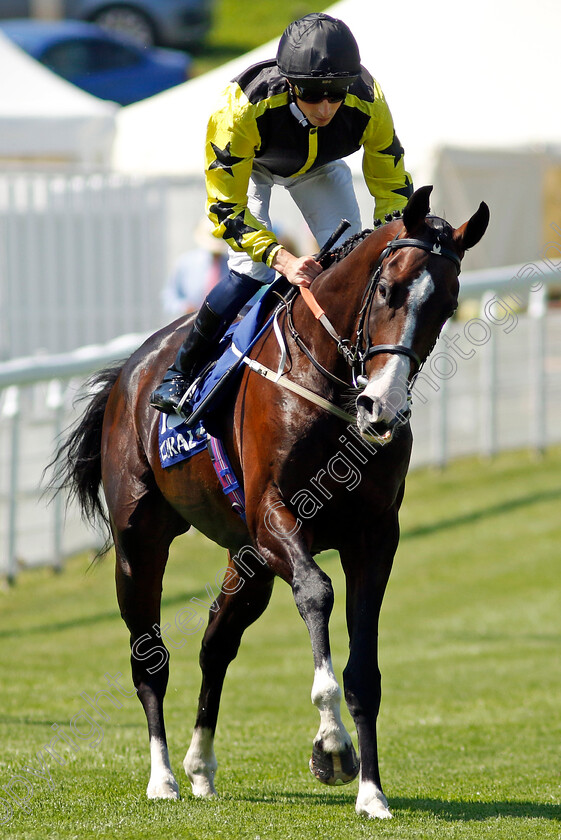 Wadacre-Gomez-0001 
 WADACRE GOMEZ (William Buick)
Goodwood 30 Jul 2024 - Pic Steven Cargill / Racingfotos.com