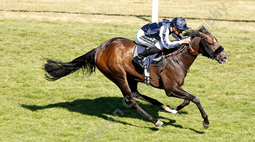 Starboy-0003 
 STARBOY (Jason Watson) wins The mintbet.com Best Odds Guaranteed Singles & Multiples Handicap
Brighton 3 Jul 2018 - Pic Steven Cargill / Racingfotos.com