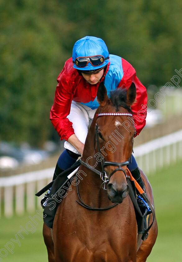 Doom-0002 
 DOOM (Adam Farragher)
Newmarket 4 Aug 2023 - Pic Steven Cargill / Racingfotos.com