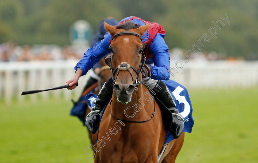 Content-0003 
 CONTENT (Ryan Moore) wins The Pertemps Network Yorkshire Oaks
York 22 Aug 2024 - Pic Steven Cargill / Racingfotos.com