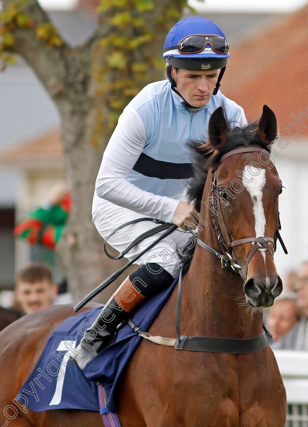 Premiere-Beauty-0007 
 PREMIERE BEAUTY (Dylan Hogan) winner of The British EBF Fillies Novice Stakes
Yarmouth 15 Sep 2022 - Pic Steven Cargill / Racingfotos.com