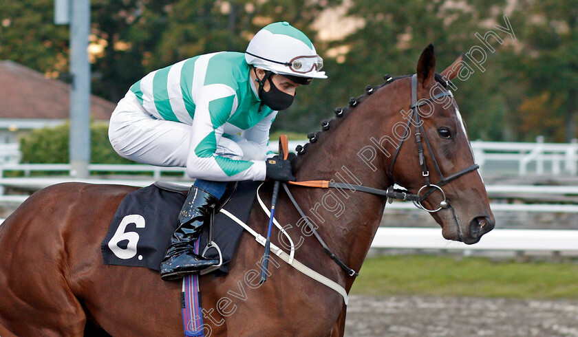 Headingley-0002 
 HEADINGLEY (William Buick) before winning The EBF Novice Auction Stakes
Chelmsford 15 Oct 2020 - Pic Steven Cargill / Racingfotos.com