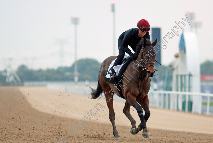 Emaraaty-Ana-0002 
 EMARAATY ANA training at the Dubai Racing Carnival
Meydan 1 Feb 2024 - Pic Steven Cargill / Racingfotos.com