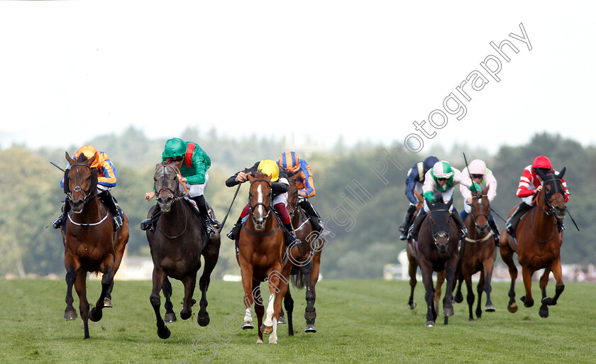 Stradivarius-0001 
 STRADIVARIUS (centre, Frankie Dettori) beats VAZIRABAD (2nd left) and TORCEDOR (left) in The Gold Cup
Royal Ascot 21 Jun 2018 - Pic Steven Cargill / Racingfotos.com