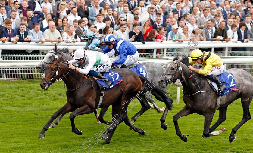 Valley-Forge-0002 
 VALLEY FORGE (David Probert) beats DHUSHAN (right) in The Sky Bet Melrose Stakes
York 21 Aug 2021 - Pic Steven Cargill / Racingfotos.com