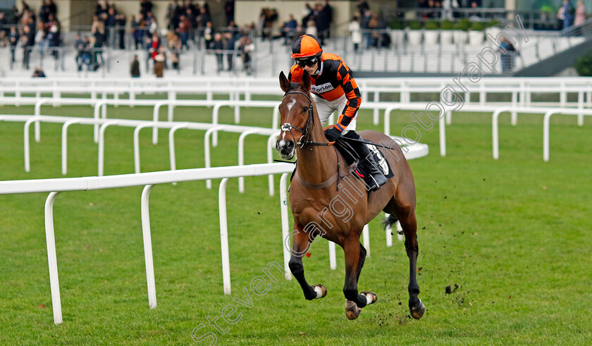 Just-Lucky-Sivola-0001 
 JUST LUCKY SIVOLA (Harry Cobden)
Ascot 21 Dec 2024 - Pic Steven Cargill / Racingfotos.com