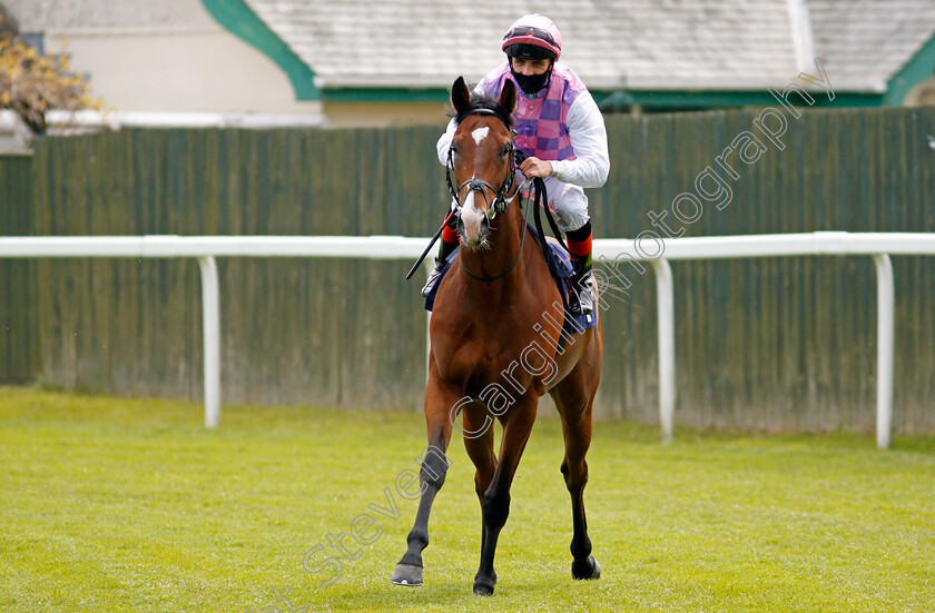 Tolstoy-0001 
 TOLSTOY (Martin Harley) winner of The British Stallion Studs EBF Novice Stakes
Yarmouth 19 May 2021 - Pic Steven Cargill / Racingfotos.com